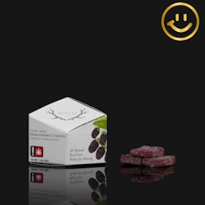 Wyld - MARIONBERRY GUMMIES - 10 PACK