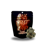 ALL GAS NO BRAKES PKG 8TH