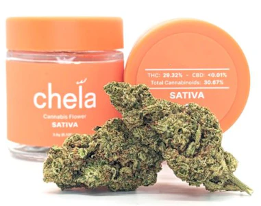 Chela - DURBAN POISON 3.5G