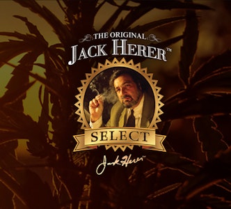 Jack herer - JACK HERER RESERVE - MASTER