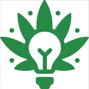 Greenlight - ORANGE PUSH POP 28G