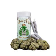 Quiet kings - QUIET KINGS - PRE ROLL - GORILLA GLUE - 5 PK Main Image