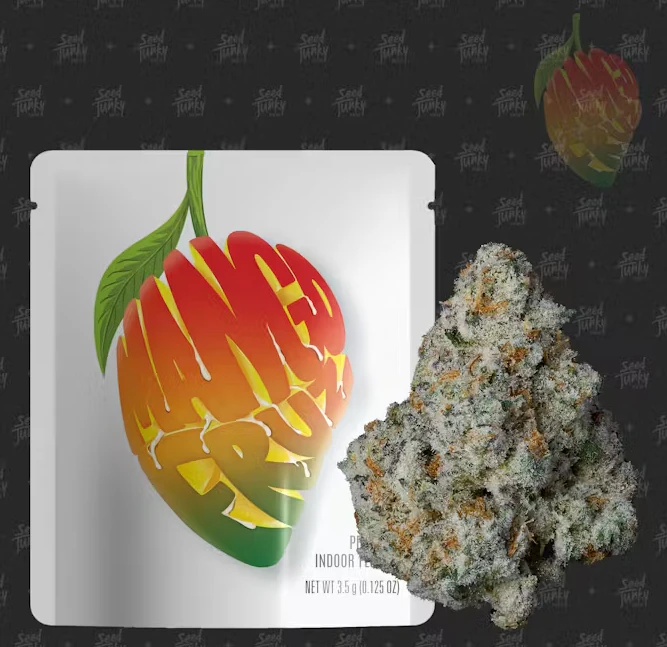Seed junky - MANGO FRUZ (I) 3.5G Main Image
