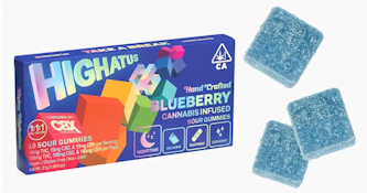 SOUR GUMMIES 10PK - BLUEBERRY