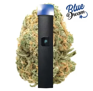 Plugplay - BLUE DREAM 1G Main Image