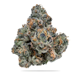 New green acres - GASTRO POP: 1/8 JARS