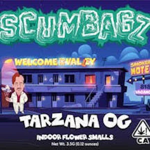 Scumbagz - SCUMBAGZ TARZANA OG 3.5G