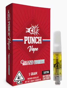 Punch extracts - ISLAND BREEZE (1G)