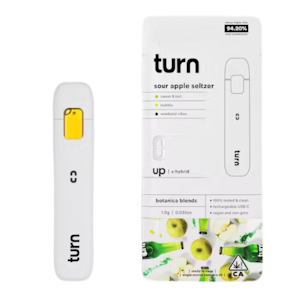 Turn - [TURN UP] - BB - ALL-IN-ONE (1G) - SOUR APPLE SELTZER, TURN