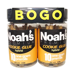 Noahs premium - COOKIE GLUE BOGO 2-10 PK HYBRID