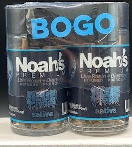 Noahs premium - BLUE POISON BOGO 2-5PK SATIVA
