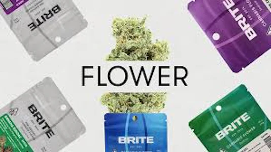 Brite - BRITE HIGHLAND OCAL FLOWER (3.5G) - S - GUAVA TART