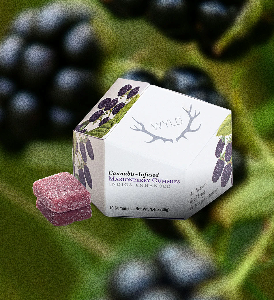 Wyld - MARIONBERRY Main Image