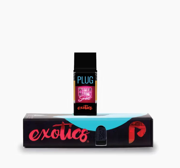 Plug n play - PLUG N PLAY | WATERMELON SORBET 1G Main Image