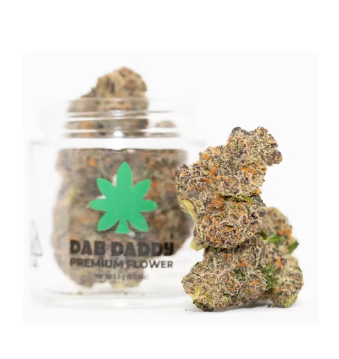 Dab daddy - BANANA CREAM X JEALOUSY - 3.5G Main Image