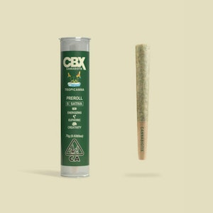 Cbx - TROPICANNA - .75G PRE-ROLL