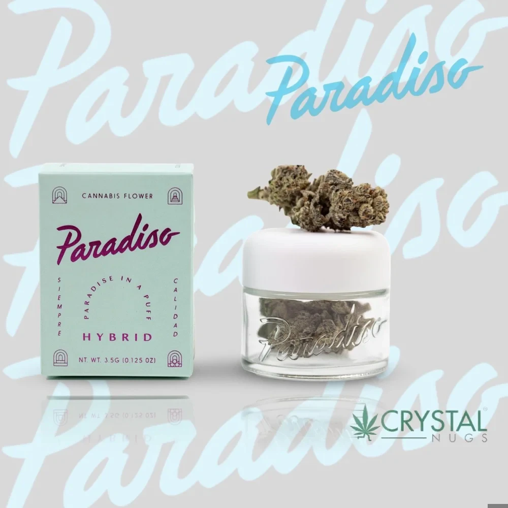 Paradiso - 3.5G | H | GLITTER BOMB Main Image