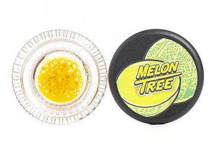 Lemon tree - MELON TREE-LIVING DIAMONDS 1G