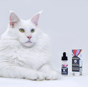 CBD ONLY DROPS 15ML - 1000MG CBD, <2 MG THC