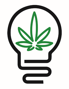 Greenlight - GRAPE GAS 28G