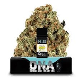 Plug play - PLUGPLAY | DNA | SUPER LEMON HAZE