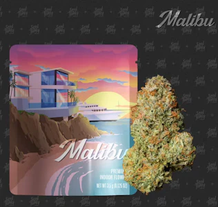 Seed junky - MALIBU 3.5G