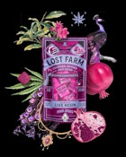 STRAWBERRY PINK JESUS