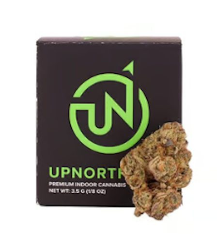 Upnorth - GOLDEN PAPAYA