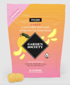 CALM & FOCUS GUMMIES - 20 PACK (MANGO 1:1 CBD)