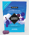 BLISSFUL REST GUMMIES - 20 PACK (SNOOZEBERRY 1:1:1 CBD CBN)