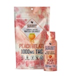 PEACH GELATO HABIT SYRUP