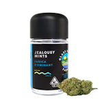 JEALOUSY MINTS 3.5G