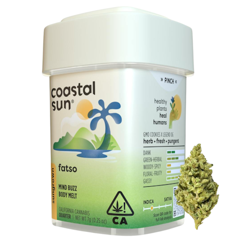 Coastal sun - FATSO 7G