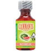 CANNAVIS: WATERMELON SYRUP HYBRID 500MG