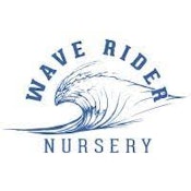 WAVE RIDER MODIFIED MINTZ (14PK) PREROLLS 7G