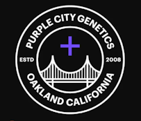 PURPLE CITY GENETICS  10PK TIFFANY SEEDS