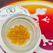 NEWT BROS - CRAZY APE - LIVE RESIN - 1G