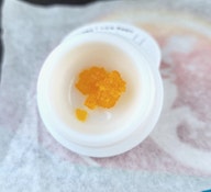 (MED)NEWT BROS - WILD HYACINTH - LIVE RESIN - 1G