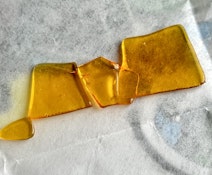 (MED)NINE EXTRACTS - APRICOT SCONE - SHATTER - 1G