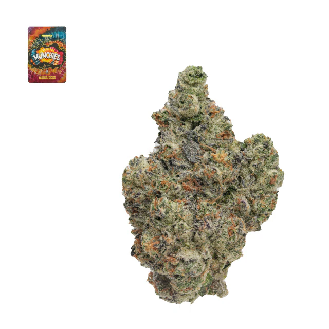 Munchies - ZSNACKS Main Image