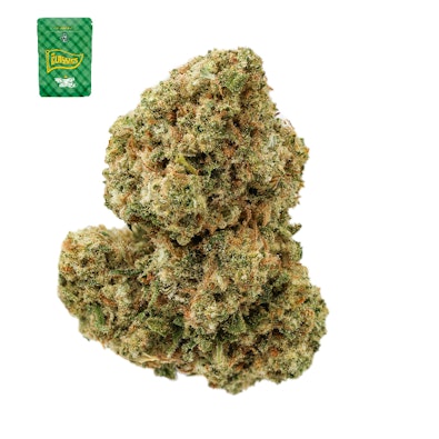 MANGO KUSH