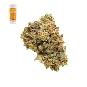 Honeycomb farms - GSC X PURPLE HASHPLANT 14G