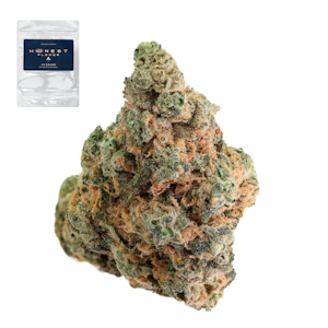 Honest flower - ZUAVA 14G