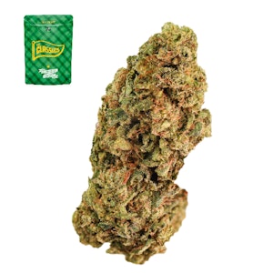 The classics - LEMON TREE 14G