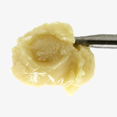 FAUX FAUANA F2 - PERSY BADDER