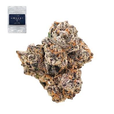 GELATO 33 BX1 14G