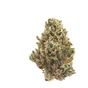 Munchies - SHERBANGER 22