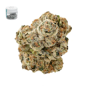 Eden - GOLDEN TICKET