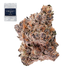 Honest flower - PURPLE FRITTER