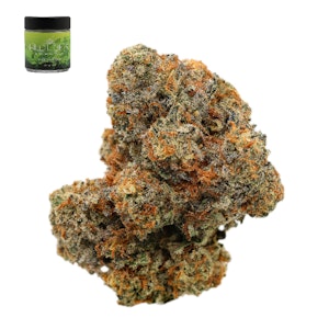 Wild light - SPACE WRANGLER